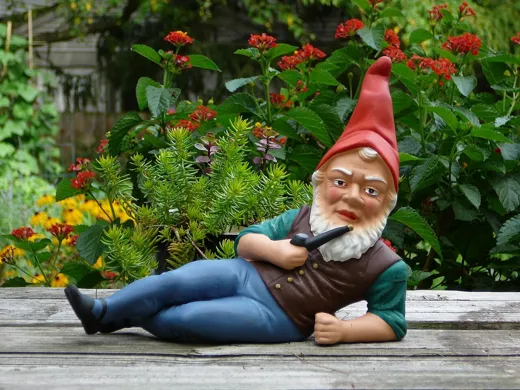 The photo the garden gnome was built from